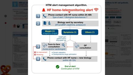 Efficacy of remote home telemonitoring (HTM) on congestion control and heart failure (HF) hospitalizations in HF out-patients.