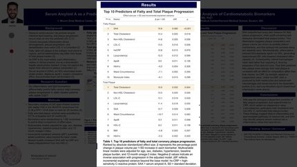 Serum amyloid A as a predictor of coronary fatty plaque progression: a comparative analysis of cardiometabolic biomarkers
