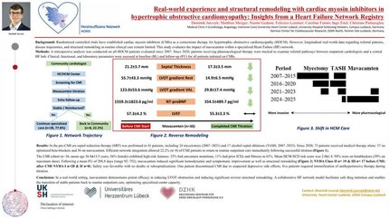Real-world experience and structural remodeling with cardiac myosin inhibitors in hypertrophic obstructive cardiomyopathy: Insights from a Heart Failure Network Registry