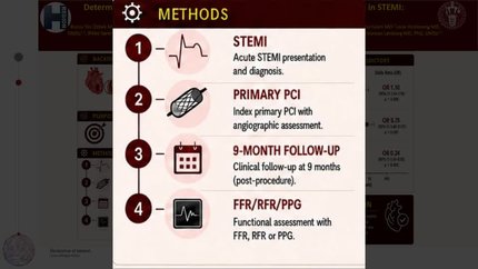 Determinants of suboptimal functional revascularization after primary PCI in STEMI: a prospective cohort study