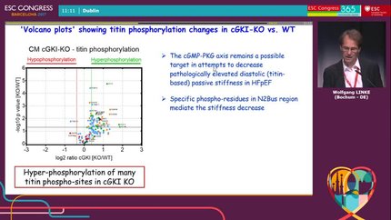 Presentation thumbnail
