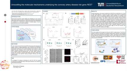 Presentation thumbnail