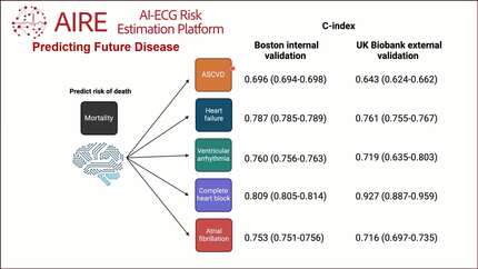 Artificial intelligence enabled electrocardiogram for mortality and ventricular arrhythmia prediction
