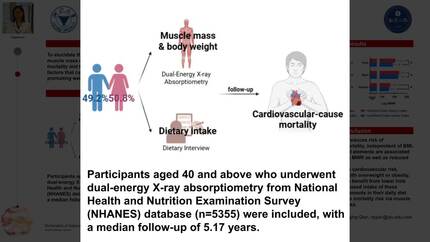 Presentation thumbnail