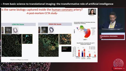 Presentation thumbnail