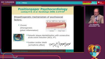 Presentation thumbnail