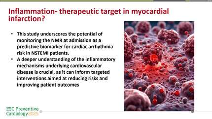 Navigating the inflammatory landscape: the neutrophil-to-monocyte ratio as a compass for myocardial infarction complications