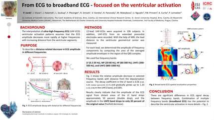 Presentation thumbnail