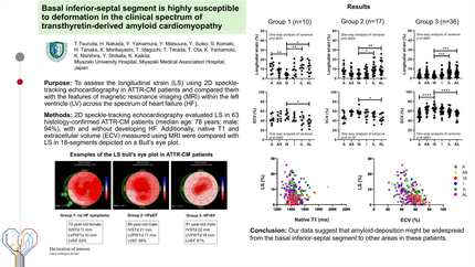 Basal inferior-septal segment is highly susceptible to deformation in the clinical spectrum of transthyretin-derived cardiomyopathy