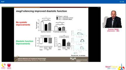 Presentation thumbnail