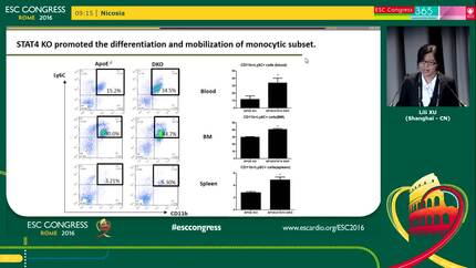 STAT4 deficiency exacerbates atherosclerosis by promoting mobilization of myeloid cells, polarization of M1 macrophages and formation of foam cells