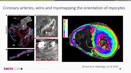 Presentation thumbnail