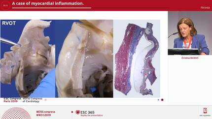 Presentation thumbnail