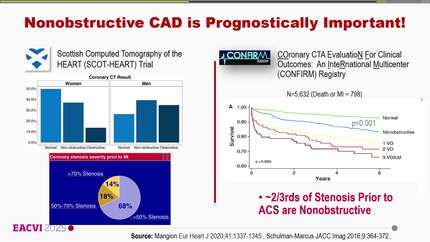 Marie Curie and Godfrey Hounsfield lecture on Cardiac Computed Tomography and Nuclear