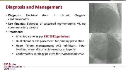 Presentation thumbnail