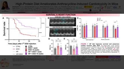 Presentation thumbnail