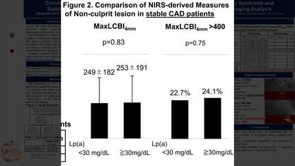 Presentation thumbnail