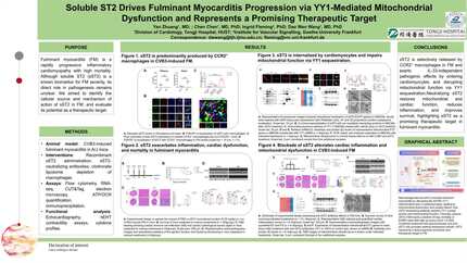 Presentation thumbnail