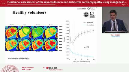 Presentation thumbnail