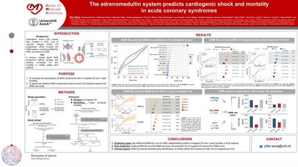 The adrenomedullin system predicts cardiogenic shock in acute coronary syndromes