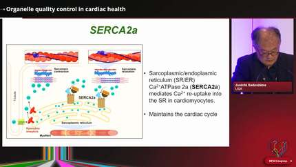 The molecular hallmarks of cardiovascular health