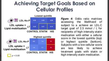 Presentation thumbnail