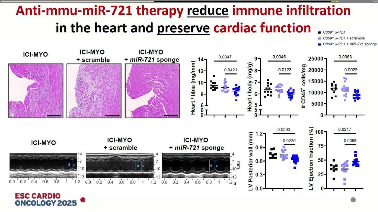 Anti-mmu-mir-721 as a therapeutic target for immune checkpoint inhibitor-associated myocarditis