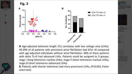 Presentation thumbnail