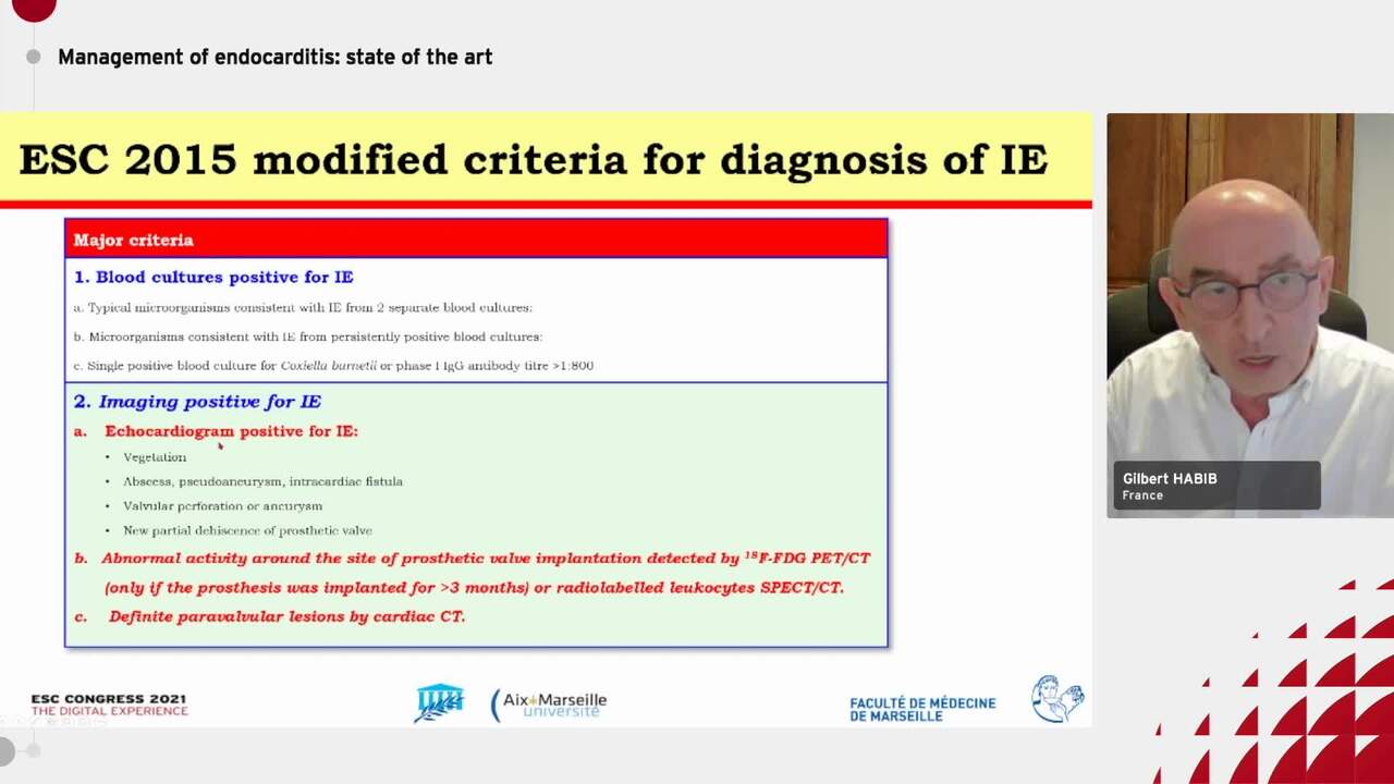Management of endocarditis: state of the art