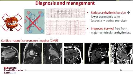 Presentation thumbnail