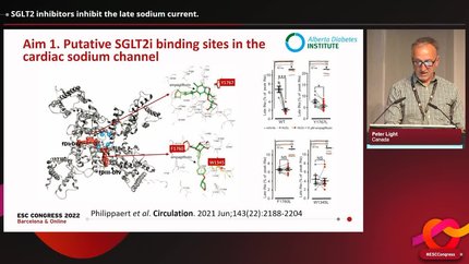 Presentation thumbnail