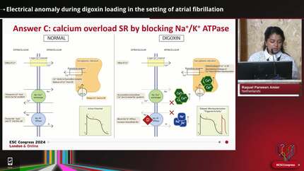 Presentation thumbnail