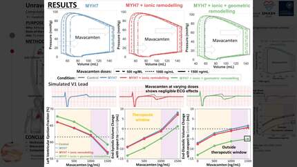 Presentation thumbnail