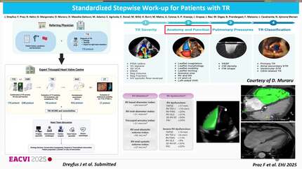 Presentation thumbnail