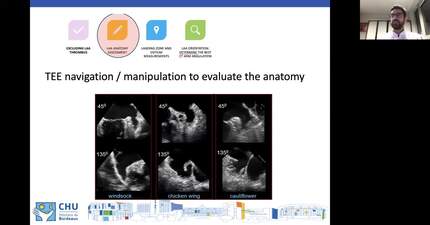 Presentation thumbnail