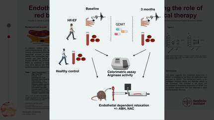 Presentation thumbnail