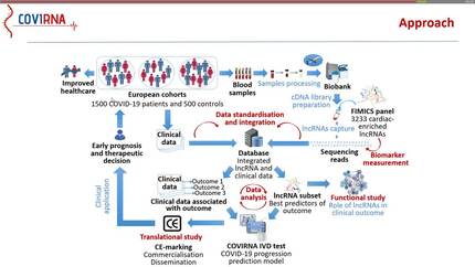 COVID-19: concerns of the heart