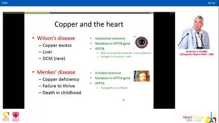 Presentation thumbnail