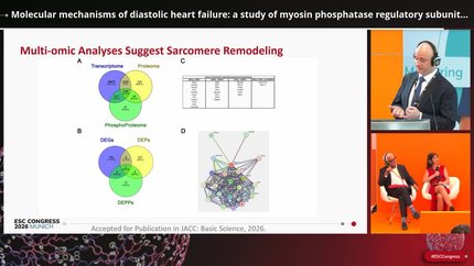 HFpEF: targeting the underlying pathophysiology
