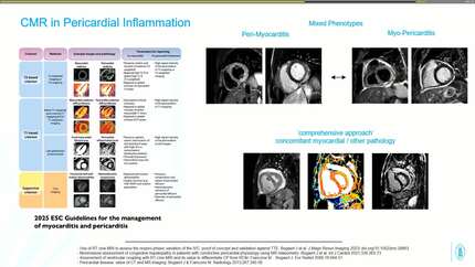 Presentation thumbnail