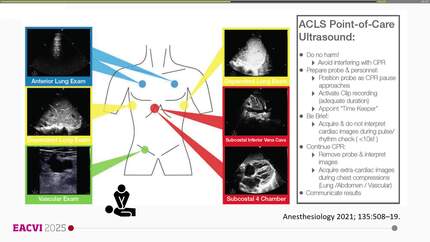 Presentation thumbnail