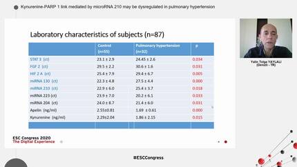 Kynurenine-PARP 1 link mediated by microRNA 210 may be dysregulated in pulmonary hypertension