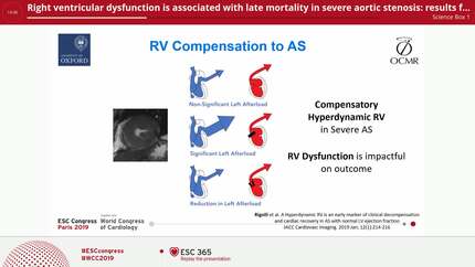 Right ventricular dysfunction is associated with late mortality in severe aortic stenosis: results from a multi-centre outcome study in patients undergoing aortic valve replacement