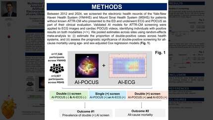 Multimodal screening of transthyretin amyloid cardiomyopathy through artificial intelligence applied to electrocardiographic images and point-of-care ultrasound: a multi-center study