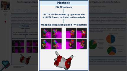 Novel mapping-integrated pulsed-field ablation technology for pulmonary vein isolation in patients with atrial fibrillation: learning curve, efficiency, and safety