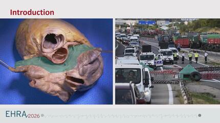 Young Investigator Award Basic and Translational Science