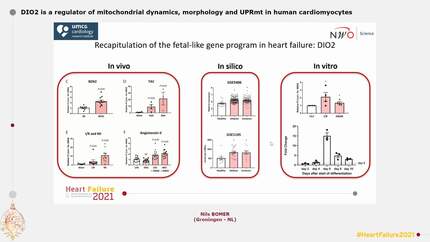 Presentation thumbnail