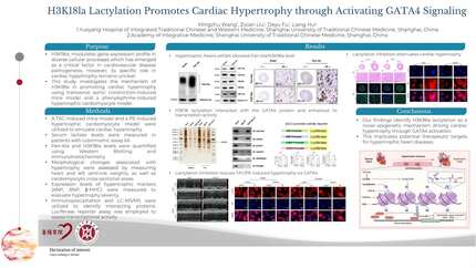 H3K18la lactylation promotes cardiac hypertrophy through activating GATA4 signaling