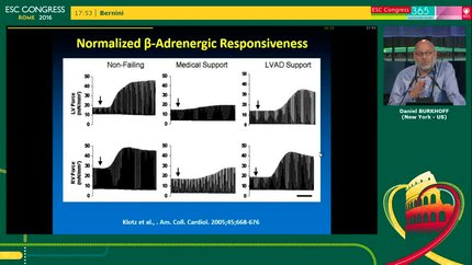 Presentation thumbnail