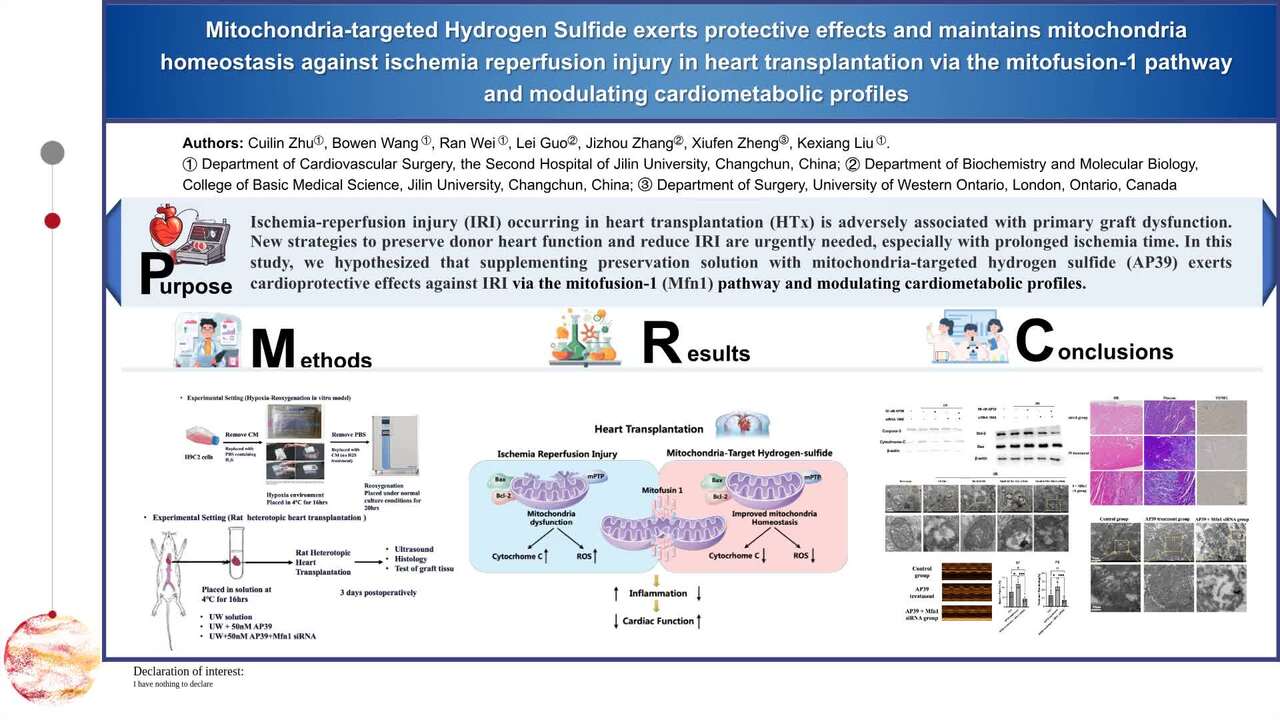 Presentation thumbnail